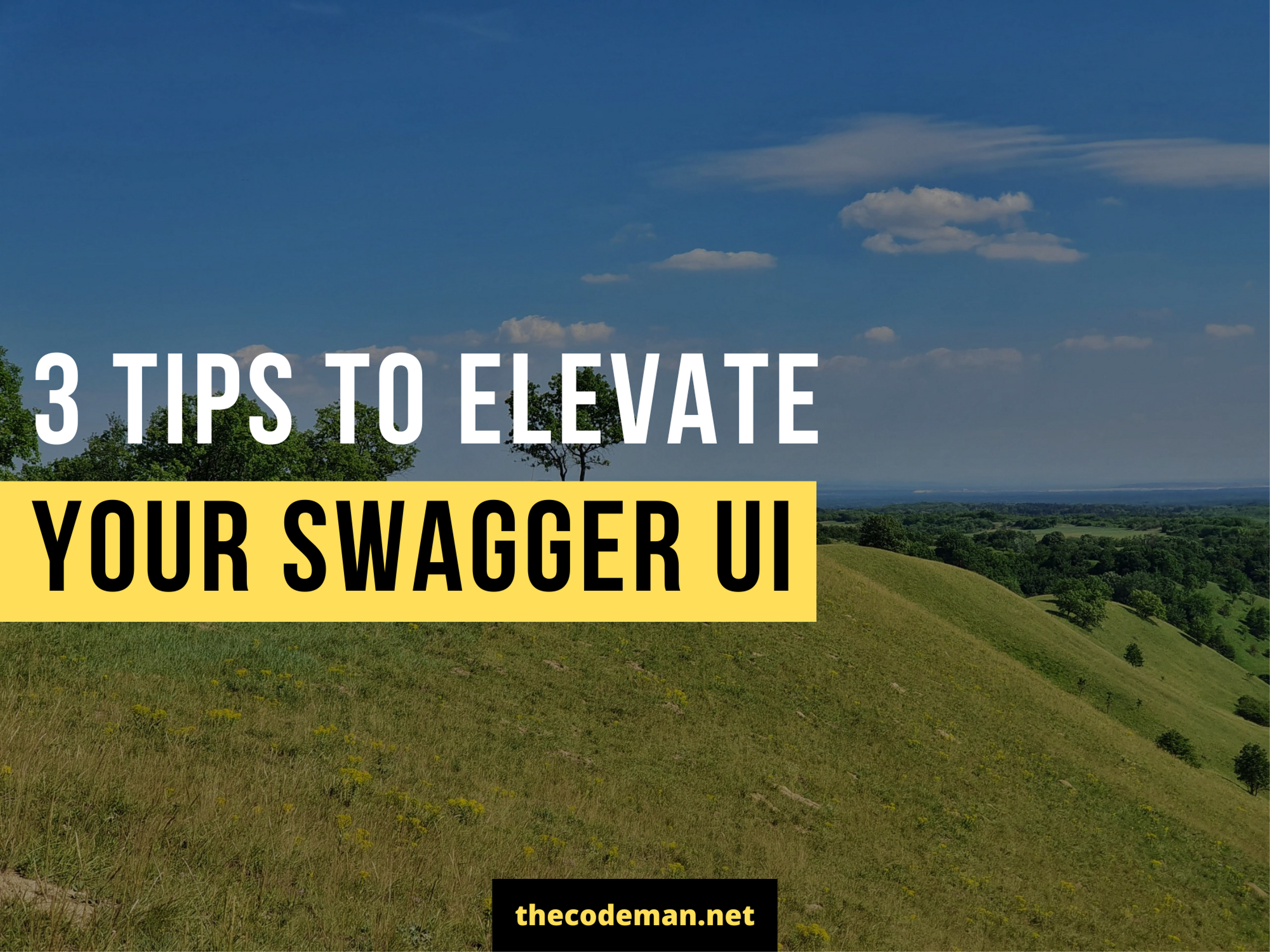 3 Tips to Elevate your Swagger UI