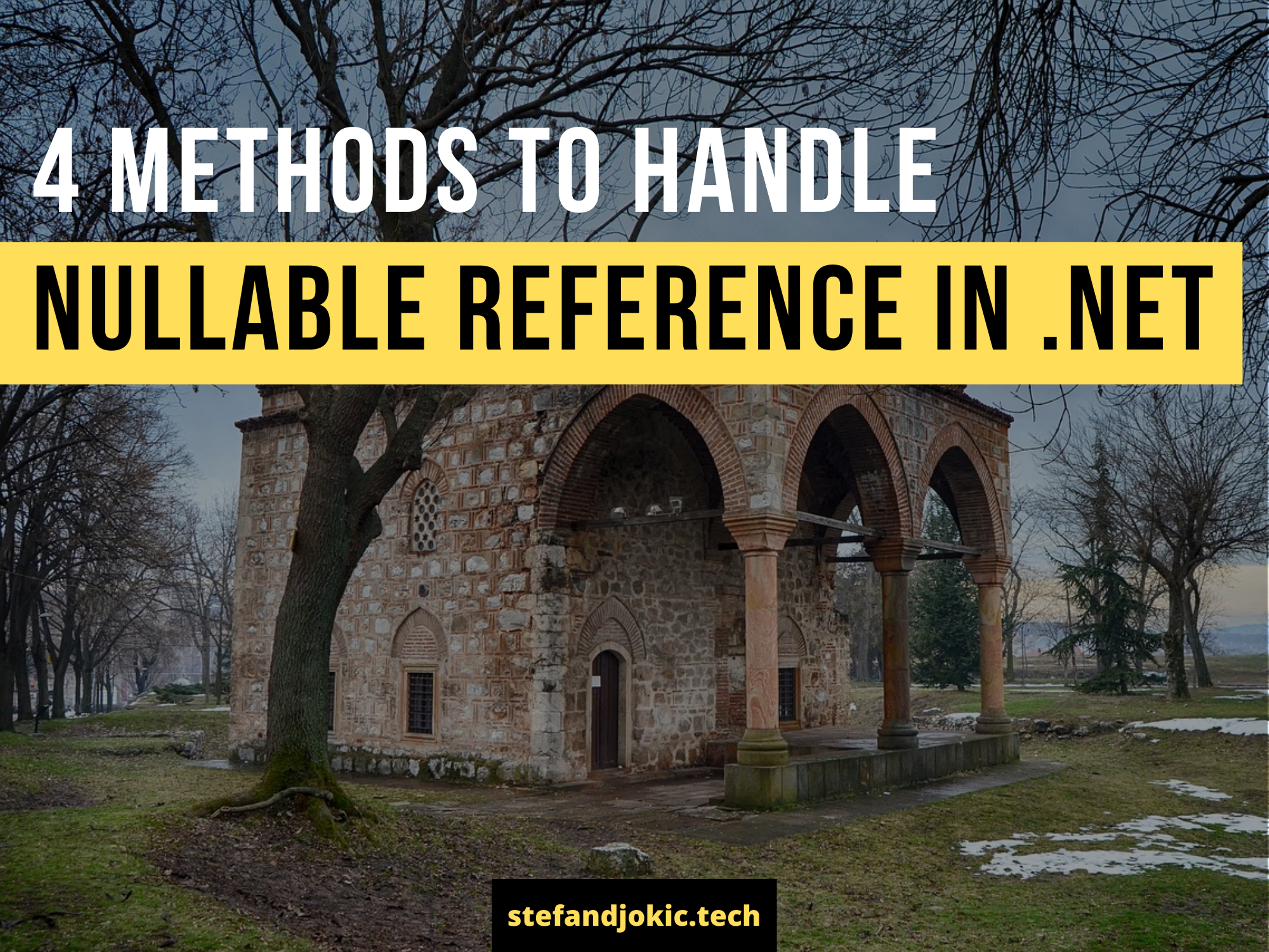 4 methods to handle Nullable Reference in .NET