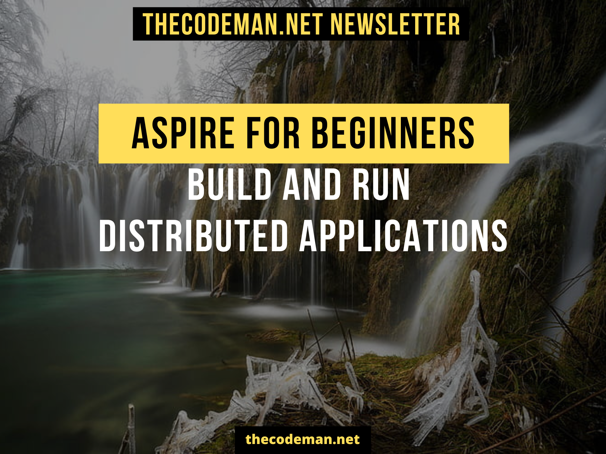 Aspire for Beginners - Build and Run Distributed Applications