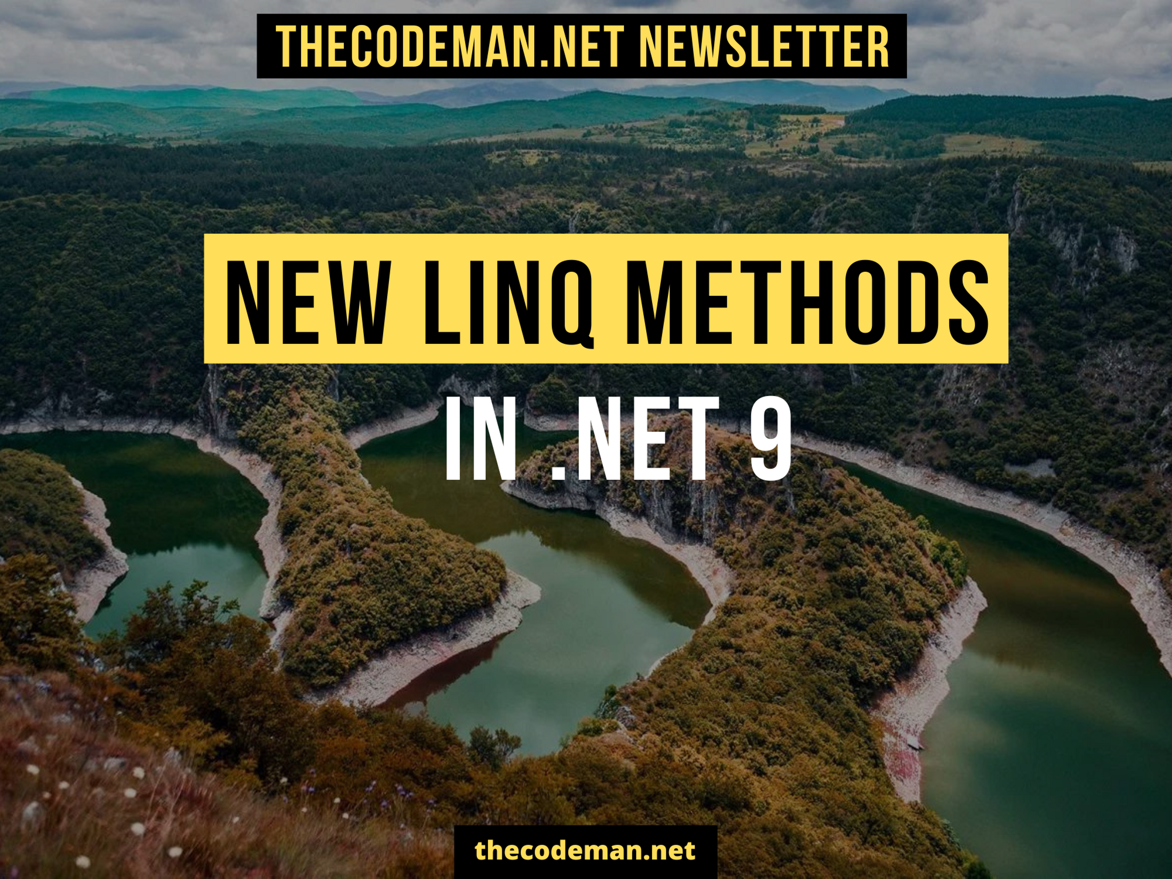 .NET 9 - New LINQ Methods