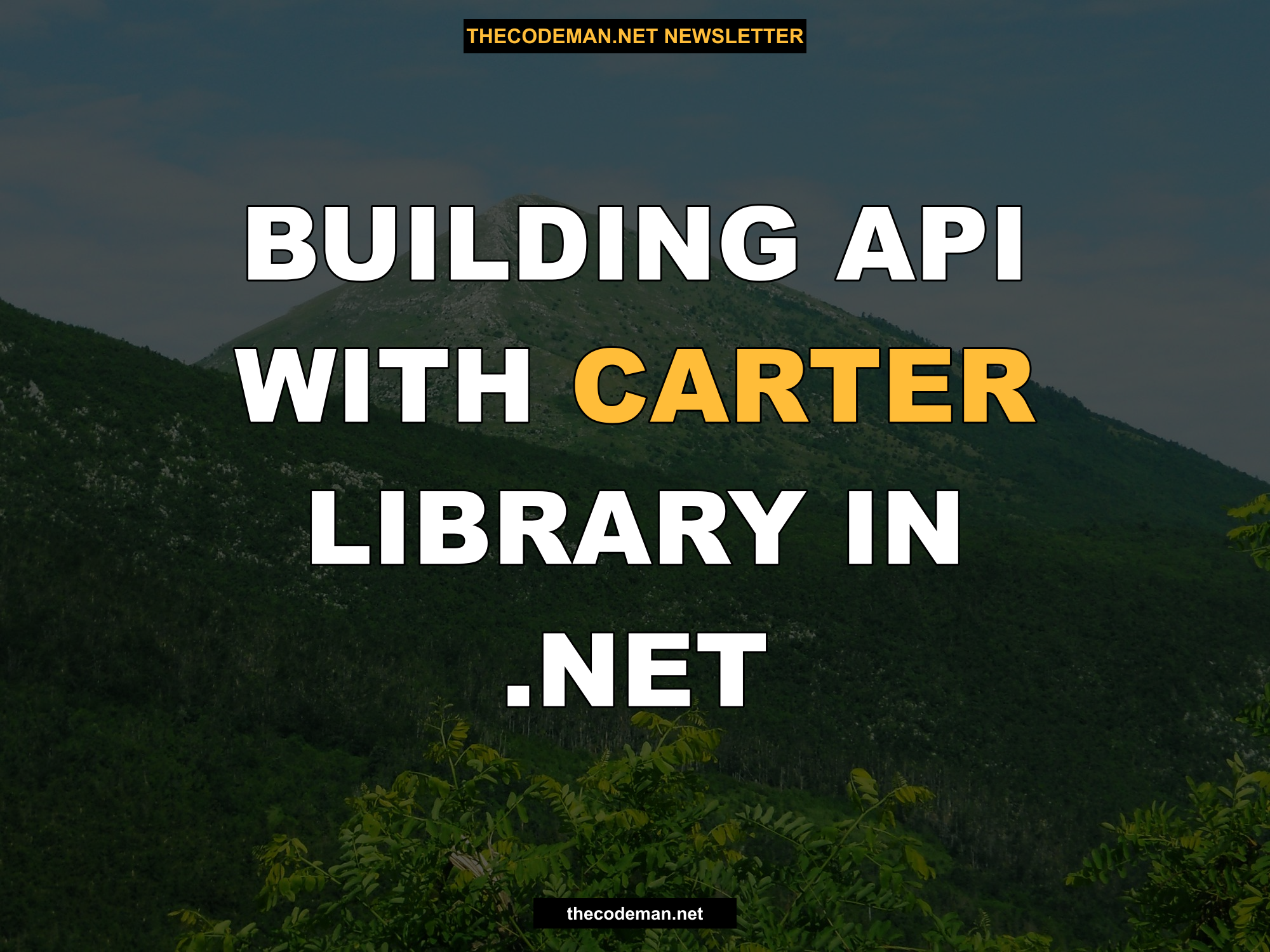 Building API with Carter Library in .NET