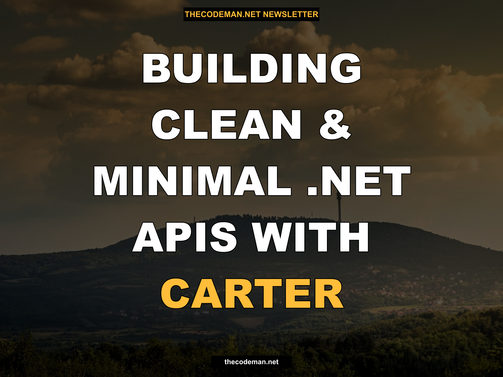 Building Clean & Minimal .NET APIs with Carter