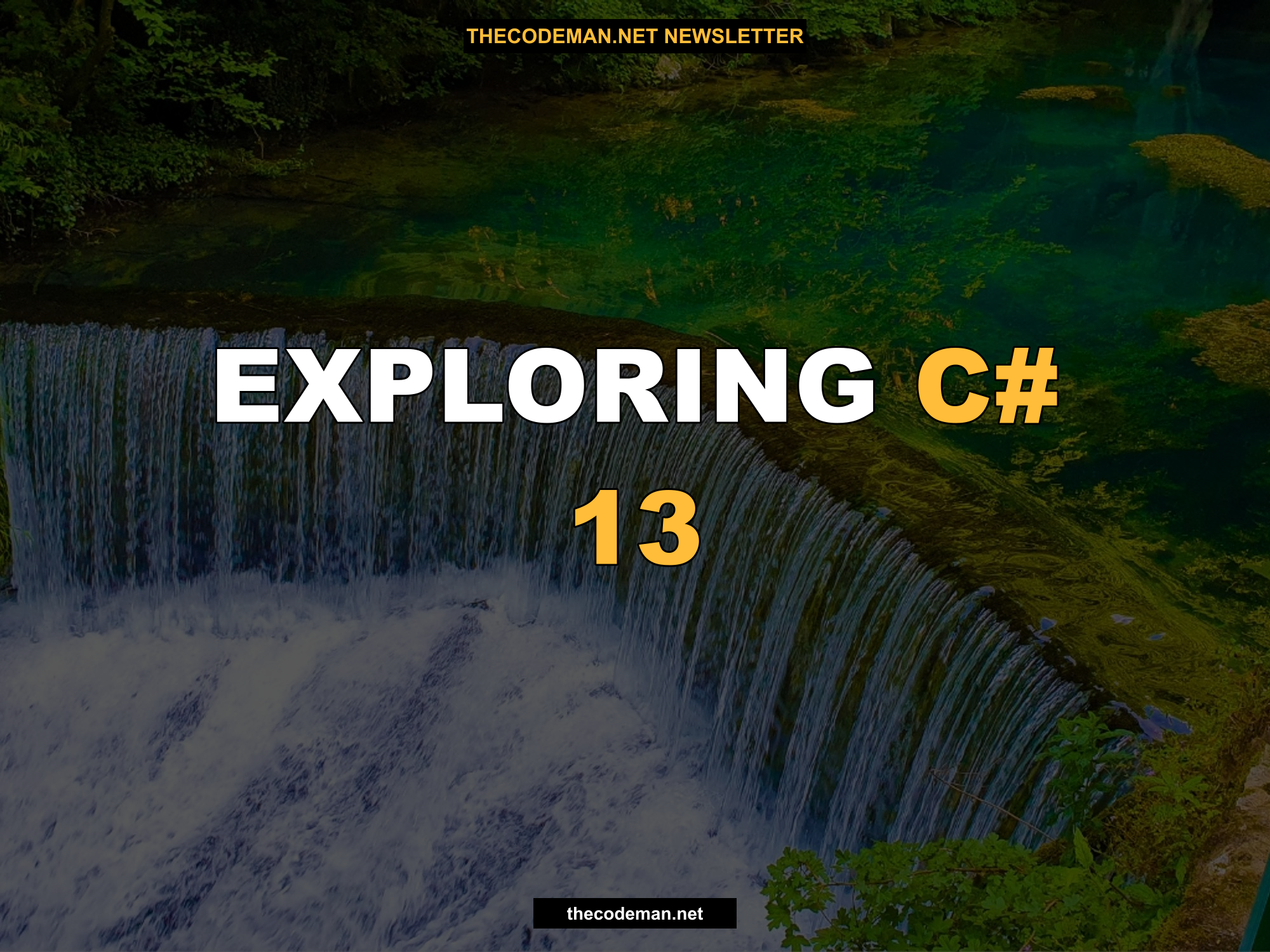 Exploring C# 13