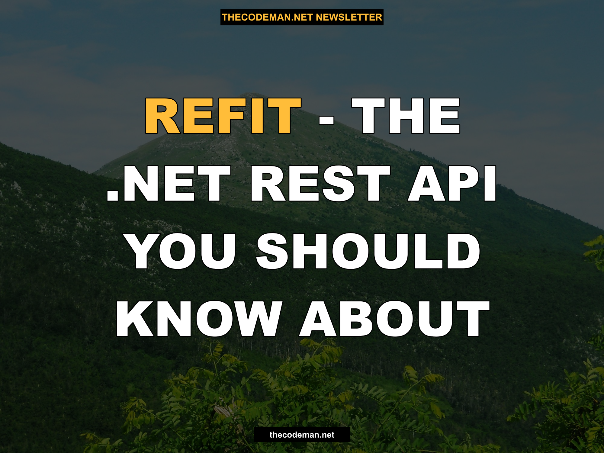 Refit - The .NET Rest API you should know about