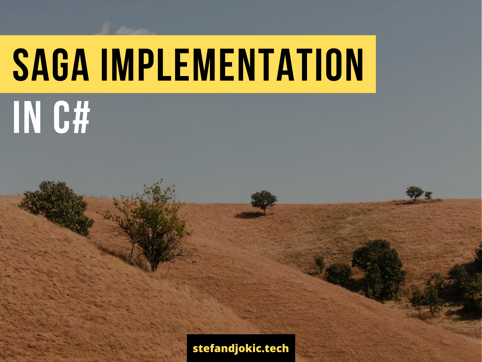 SAGA Implementation in C Stefan Djokic